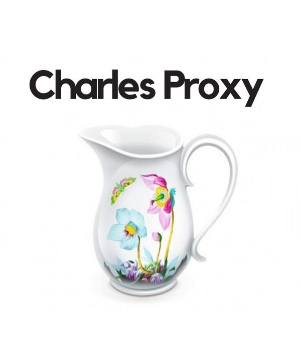 Charles Proxy 5 Lifetime / 1 Key GLOBAL